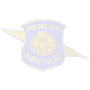 Michigan State Police Shield